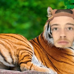 Bengal (Prod. Matty A)