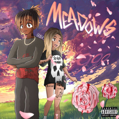Meadows + Sessions 𝟰𝟯𝟮𝗵𝘇
