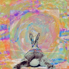 ANOTHERTRIPDOWNTHERABBITHOLE