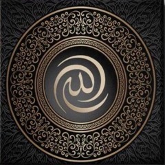 حضرة برهامية شاذلية - أبناء الطريقة بالسنبلاوين