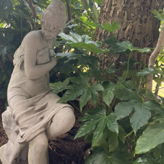 foundher (prod. shamgod!)