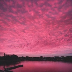 un ciel taché de rose