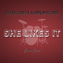 DVX Reloaded - She Likes It (Drum Cover)
