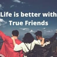 Perfect Vibes 🌺✨