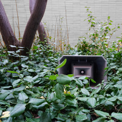 Muzak for the Encouragement of Unproductivity One