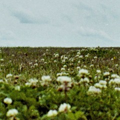 Thousand Stars Acoustic