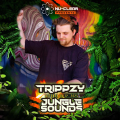 Jungle Sounds 6 - 1AM Funky DNB / Halftime