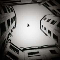 Forager Record - Giacomo Rebellato Takeover 200624