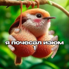я почесал изюм 1