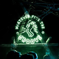 Whatever Fits The Groove Releases