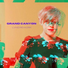 FREE DL: Tracey Thorn - Grand Canyon (LVND Rework)