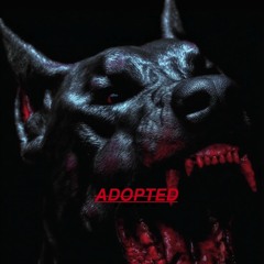 ADOPTED MIX ///  Hörprobe