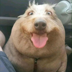 вагина пукает