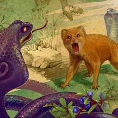 Рікі-Тікі українська версія.mp3