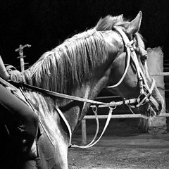 يا لبيب القلب ~ المسردي