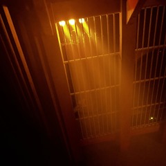 like home I caroline kopka