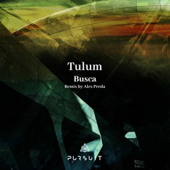 Tulum - Busca (Alex Preda Remix) [Pursuit]