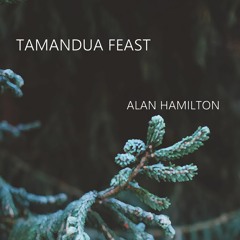 Tamandua Feast