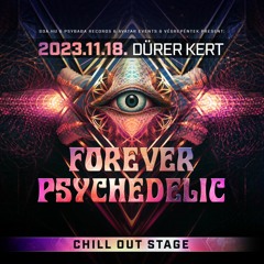 Dynamic Illusion @ Forever Psychedelic (2023) [Dürer Kert]