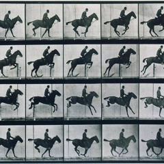 All The Pretty Horses