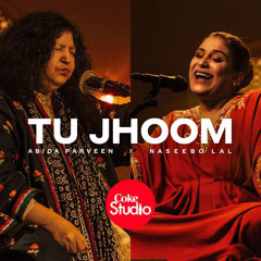 Tu Jhoom | Slowed & Reverb | Coke Studio | Season 14 | Naseebo Lal × Abida Parveen |