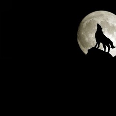 A Life, A Fight - PROGTrance - Temsa2017 - 10 - 28 9h50m51