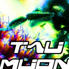 Tau Muon - Spin Vector