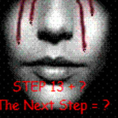Step 13 + ?