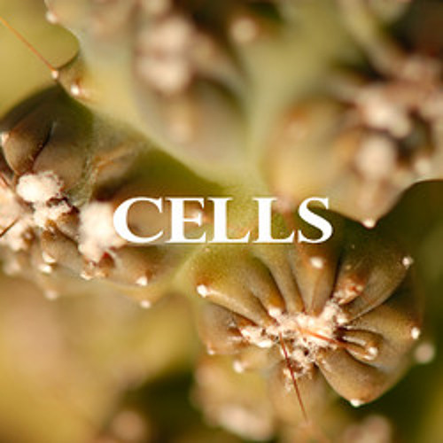SoundCloud profile picture for @cells