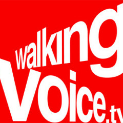 walkingvoice.tv