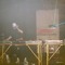 DJ LATIN WOLFF
