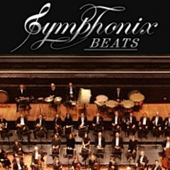 Symphonix Beat 12