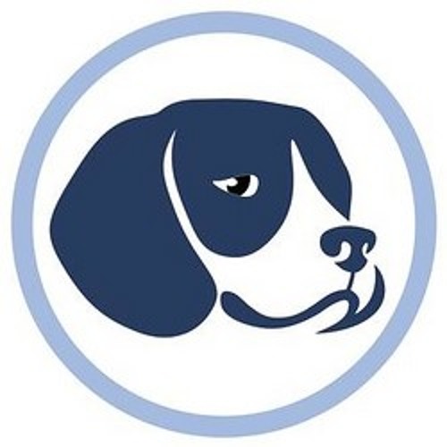 stray-hound’s avatar