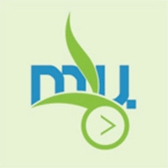 "The Storm" The Procussions | 5 Sparrows For 2 Cents