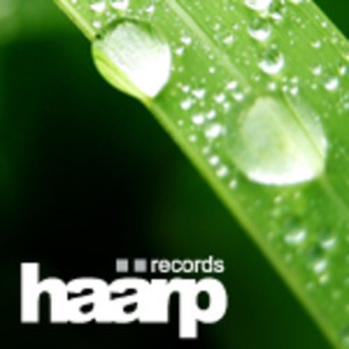 haarp records’s avatar