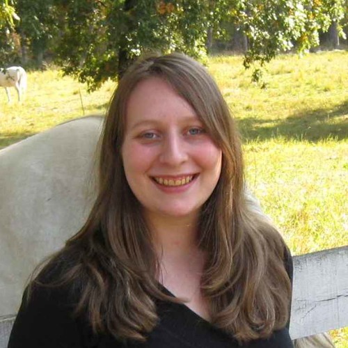 Brahms Symphony No.2 1st Movement