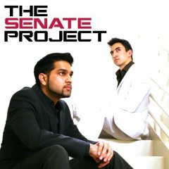 thesenateproject