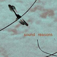 sound reasons records