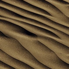 Sand Buyer