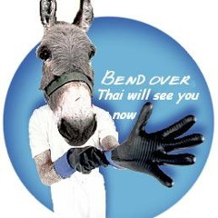 Thai-Wronghorse