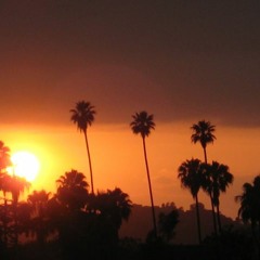 The Twilight Singers