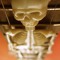 Skelington Bob