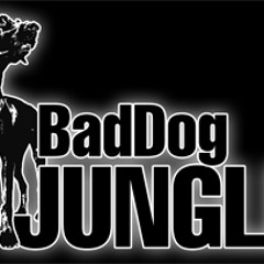 BadDog