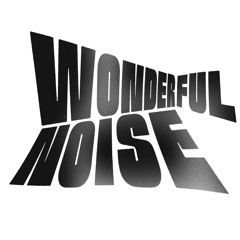 WONDERFUL NOISE