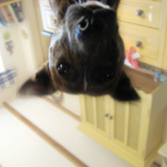 Princess of the Sun (Deets re-edit) Ft. Lizzy Platt