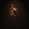 marius_brabus