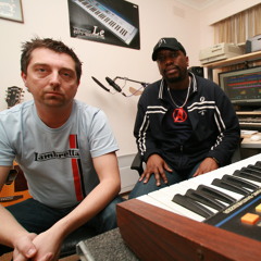 Highbury Fields Forever