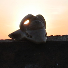 Apklap (Lürmel Ipklip)