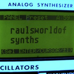 raulsworldofsynths