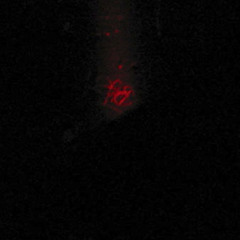 O/R ( Octave/Roultaboss)